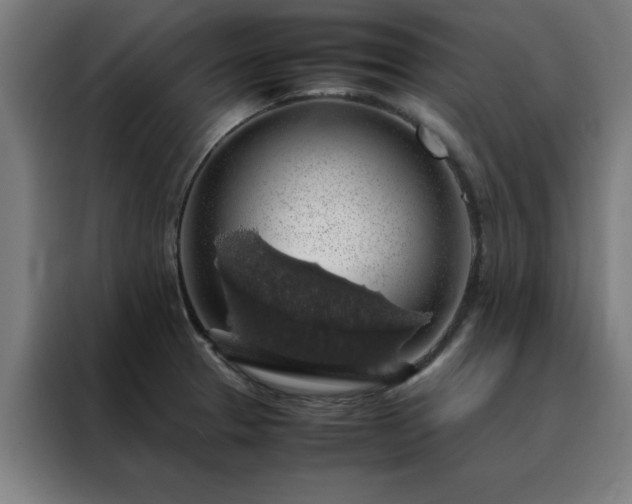 X0000088231329200705221816