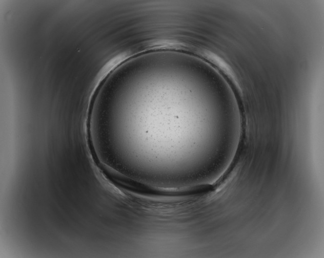 X0000088231330200705221816