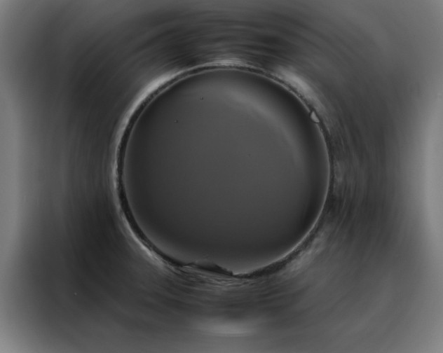 X0000088231331200705221816