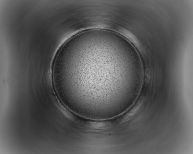X0000088231332200705221816