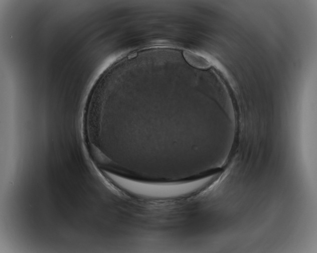 X0000088231333200705221816