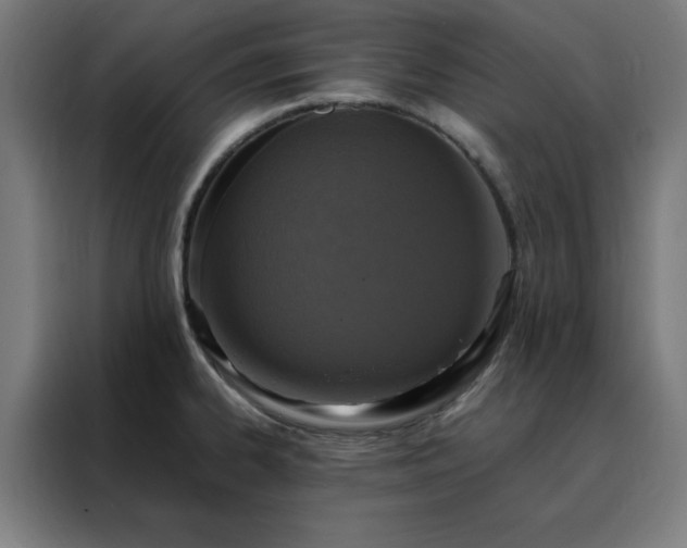 X0000088231334200705221816
