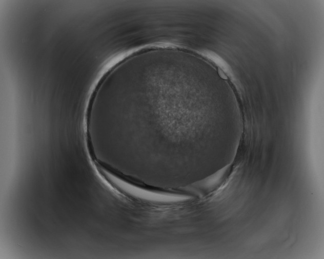 X0000088231335200705221816
