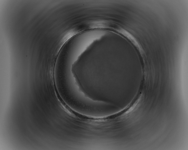 X0000088231337200705221816