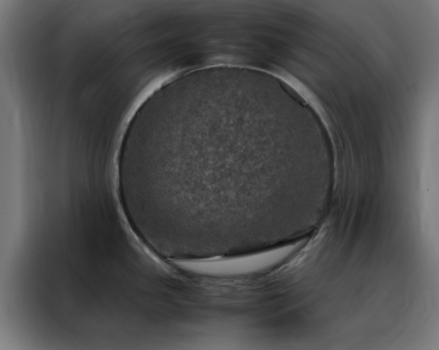 X0000088231341200705221816