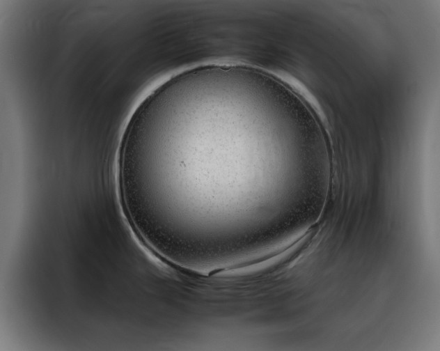 X0000088231343200705221816