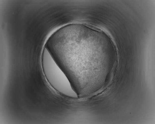 X0000088231344200705221816