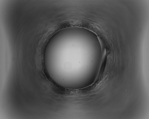 X0000088231345200705221816