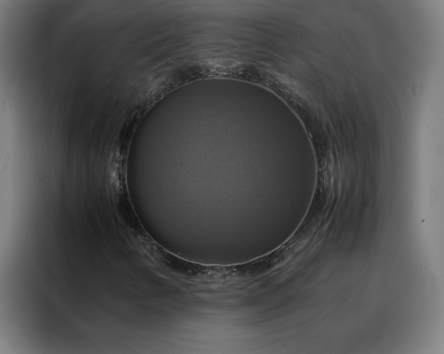 X0000088231346200705221816