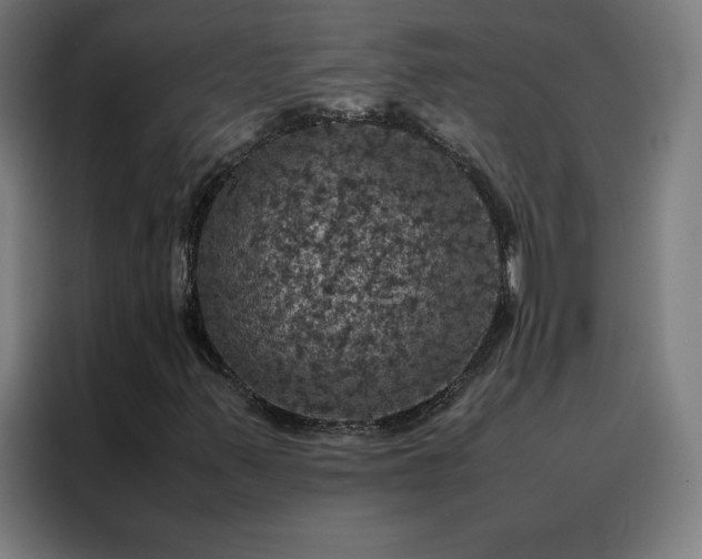 X0000088231347200705221816