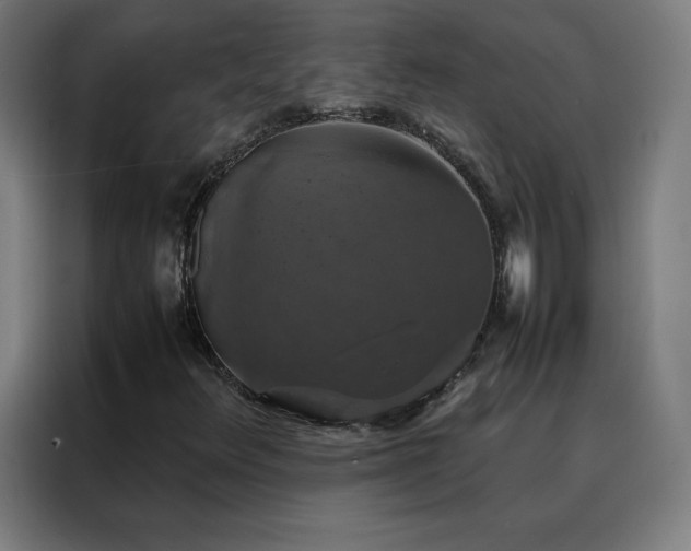 X0000088231348200705221816