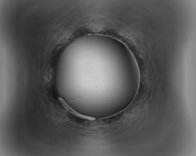 X0000088231349200705221816