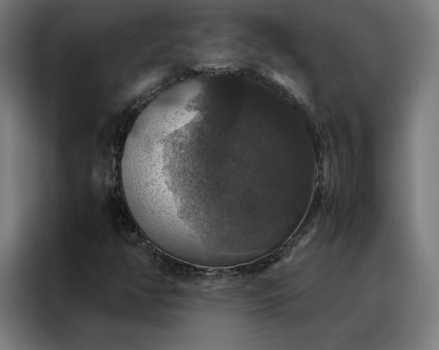 X0000088231350200705221816