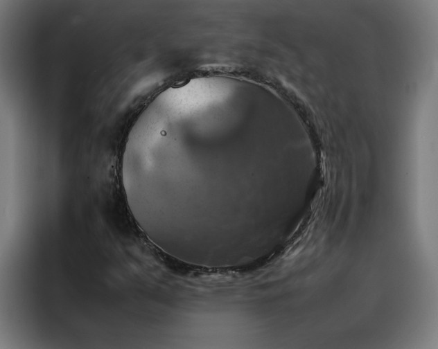 X0000088231351200705221816