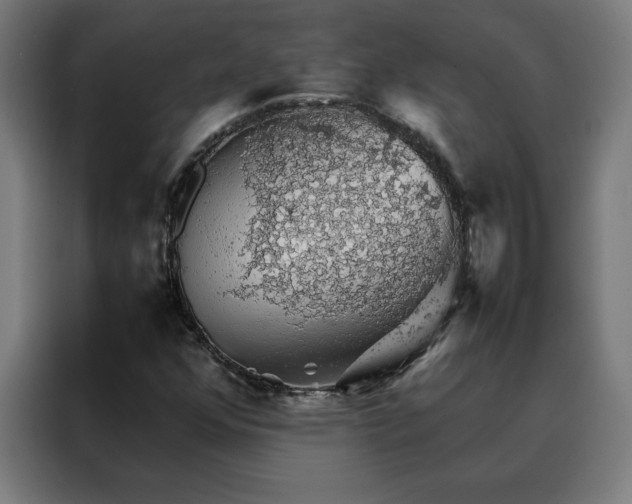 X0000088231352200705221816