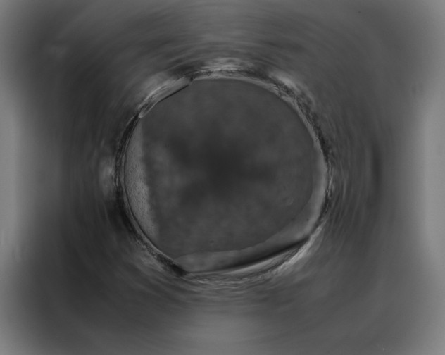 X0000088231353200705221816