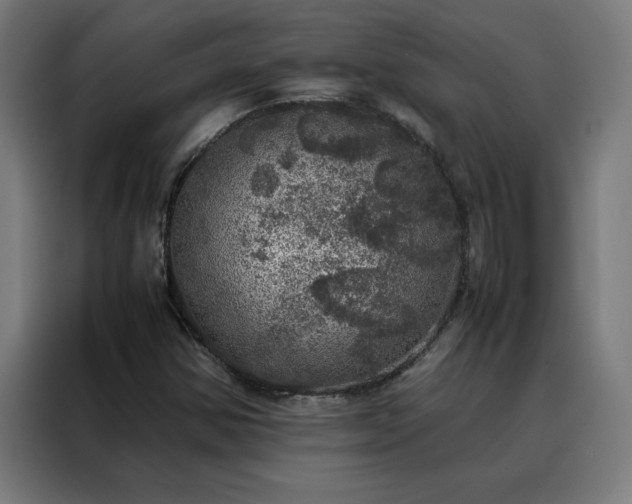 X0000088231354200705221816
