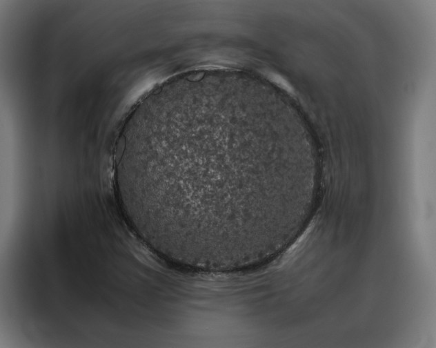 X0000088231355200705221816