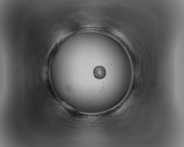 X0000088231357200705221816