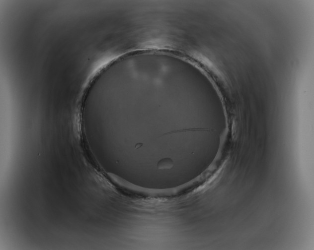 X0000088231358200705221816