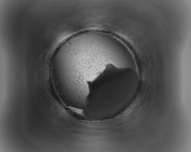 X0000088231359200705221816