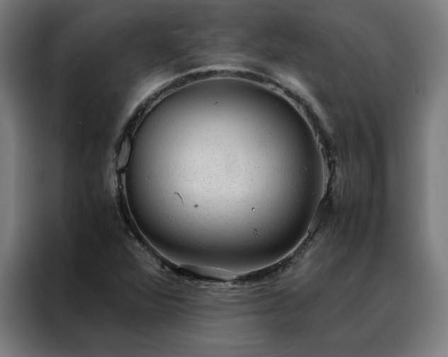 X0000088231360200705221816