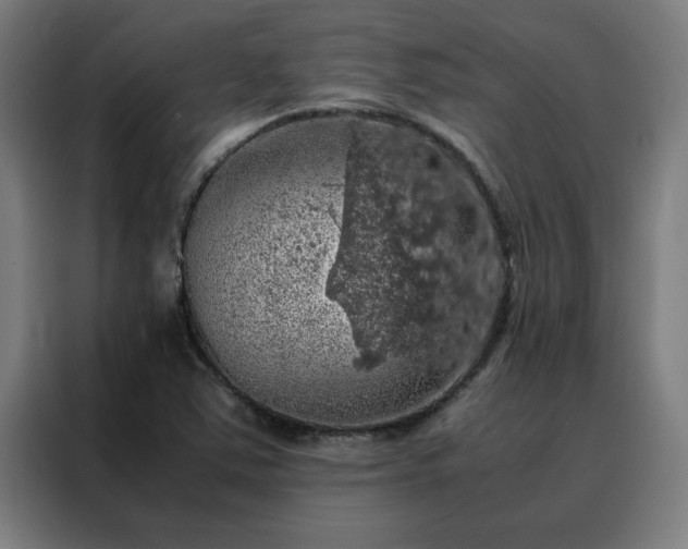 X0000088231363200705221816