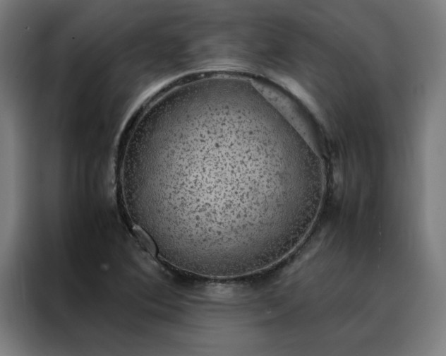 X0000088231364200705221816