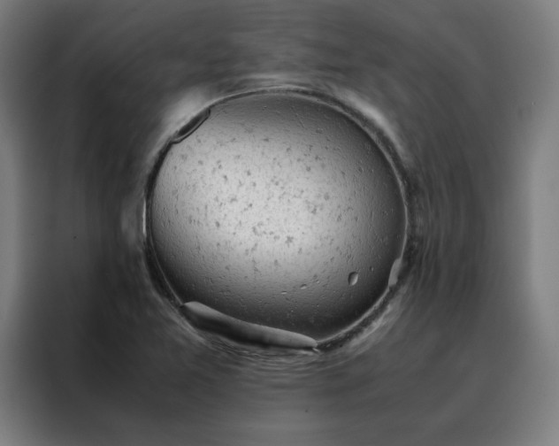 X0000088231365200705221816