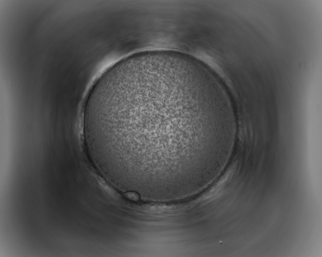 X0000088231366200705221816