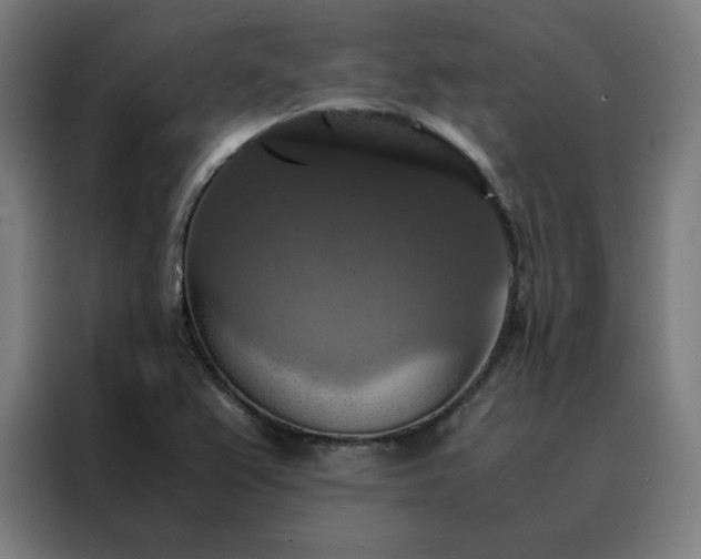 X0000088231367200705221816