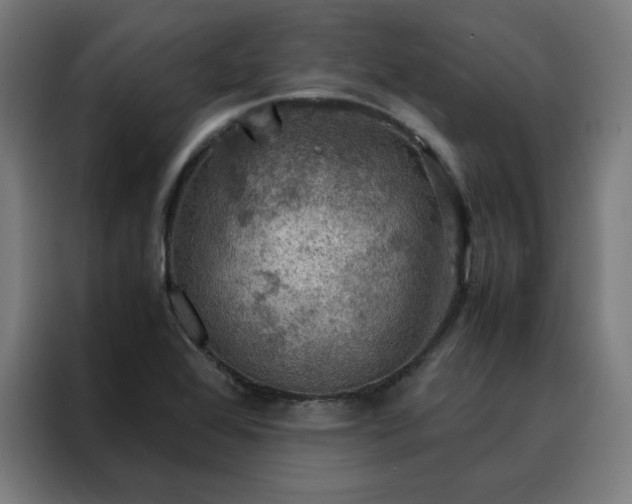 X0000088231368200705221816