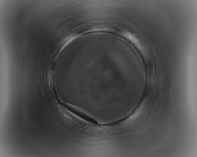X0000088231369200705221816