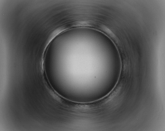 X0000088231370200705221816