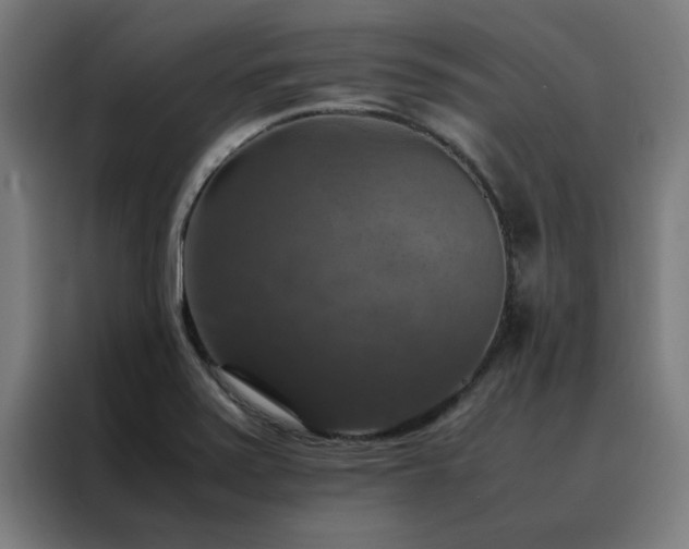 X0000088231371200705221816