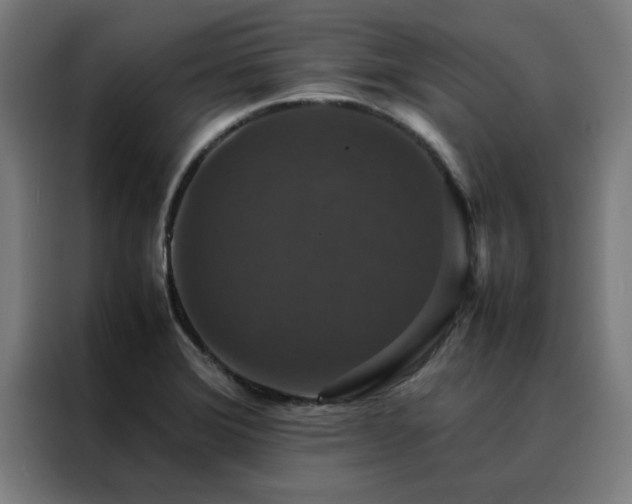 X0000088231372200705221816