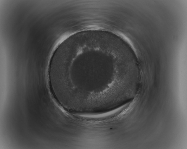 X0000088231373200705221815