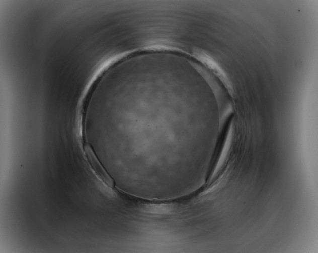 X0000088231376200705221815