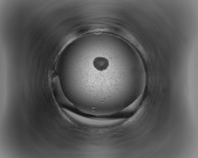 X0000088231377200705221815
