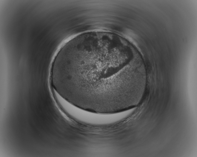 X0000088231379200705221815