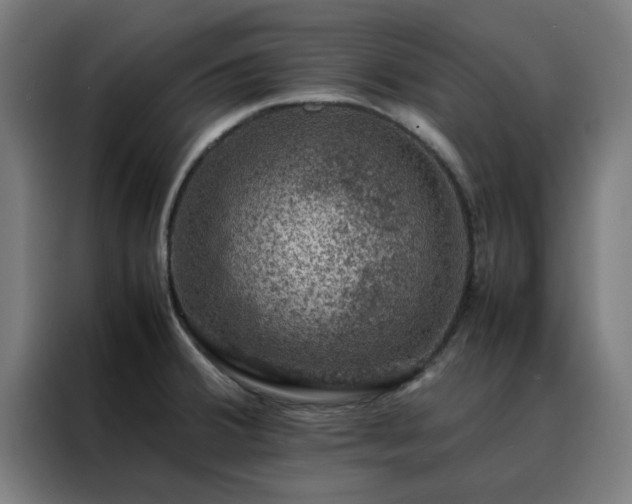 X0000088231380200705221815