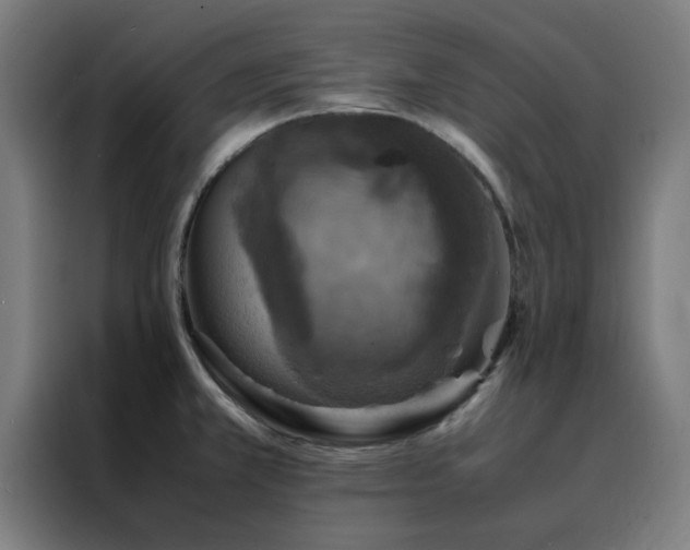 X0000088231381200705221815
