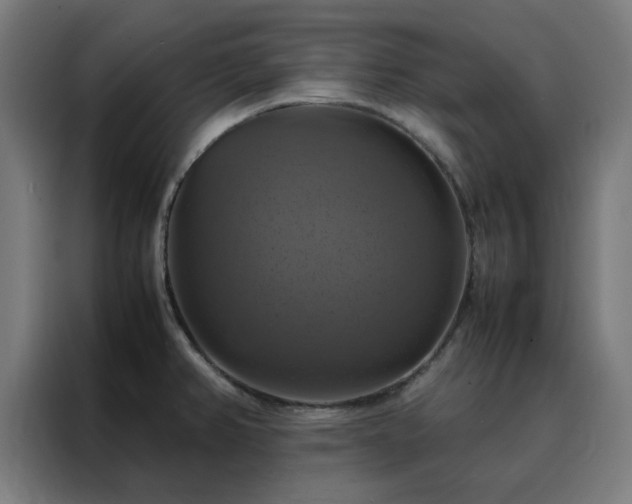 X0000088231382200705221815