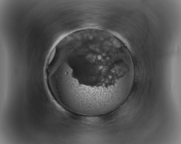 X0000088231383200705221815