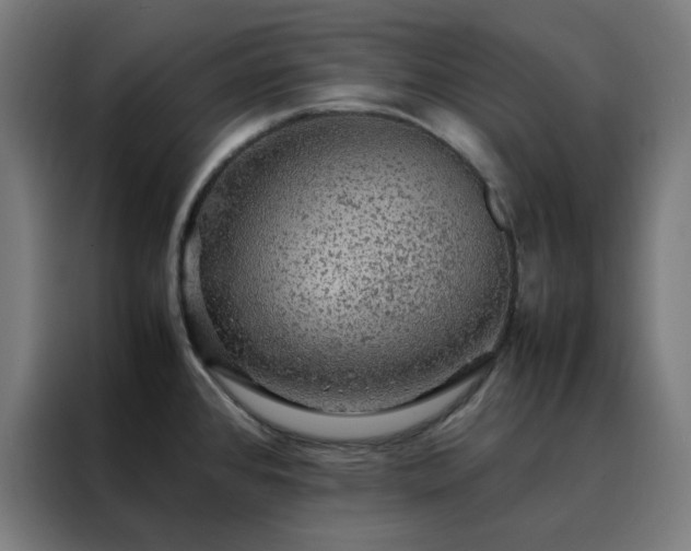 X0000088231384200705221815