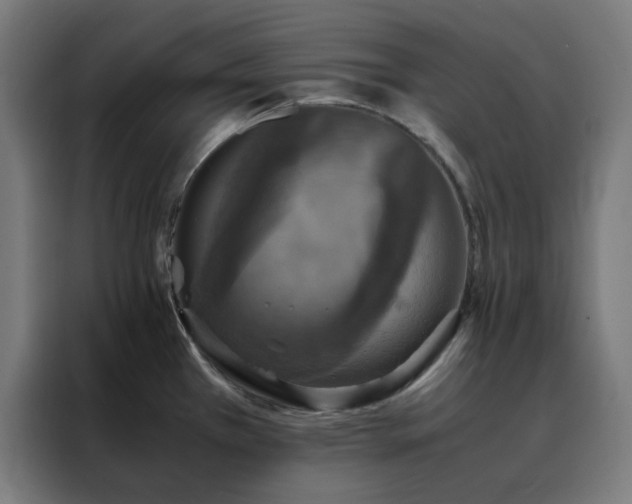X0000088231385200705221815
