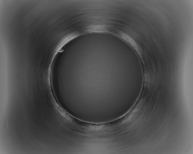 X0000088231386200705221815