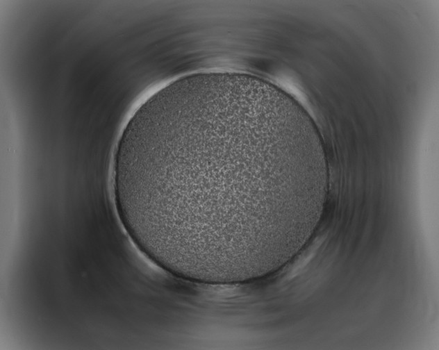 X0000088231387200705221815