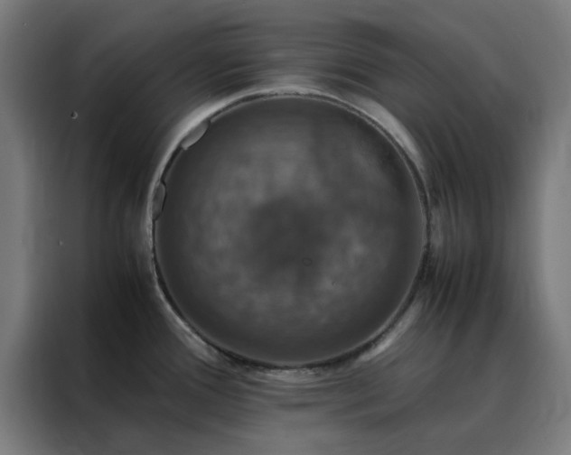 X0000088231388200705221815