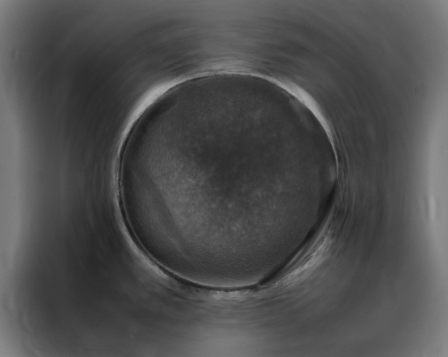 X0000088231389200705221815